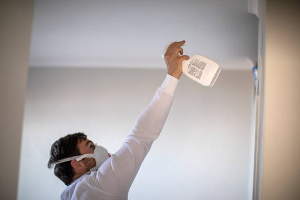 Best Emergency Mold Removal  in Marysville, OH