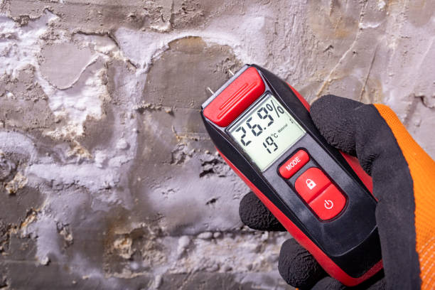 Best Mold Remediation  in Marysville, OH