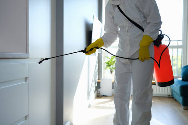 Best Professional Mold Removal  in Marysville, OH