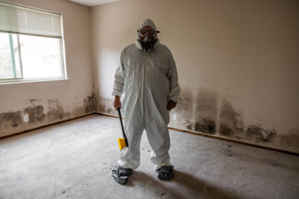 Best Mold Damage Repair  in Marysville, OH